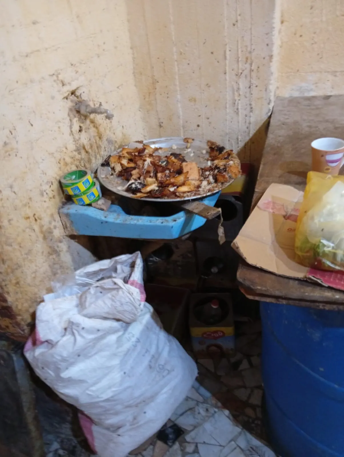 News photo